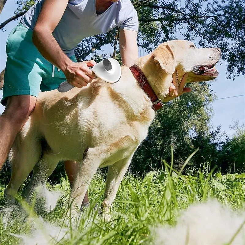 BROSSE AUTONETTOYANTE POUR ANIMAUX – TOILETTAGE FACILE & SANS EFFORT