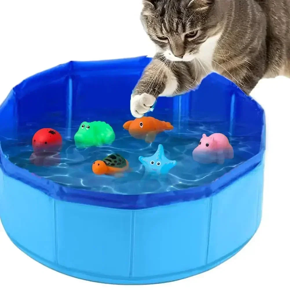 PISCINE DE PÊCHE INTERACTIVE POUR CHAT – STIMULATION, JEU & ANTI-ENNUI