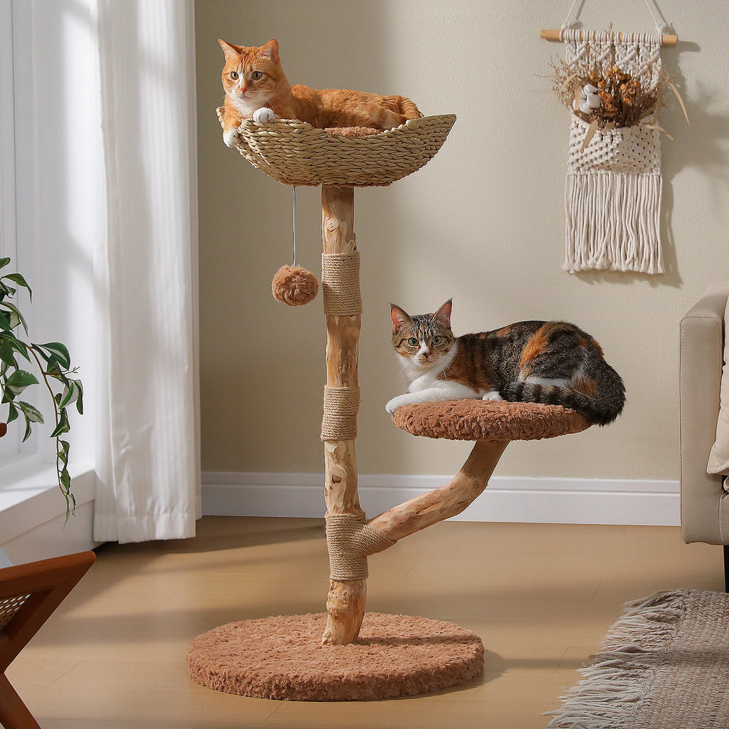 FINI LES ARBRES À CHAT SANS STYLE – ARBRE À CHAT EN BOIS AVEC PANIER EN OSIER ET BRANCHES NATURELLES