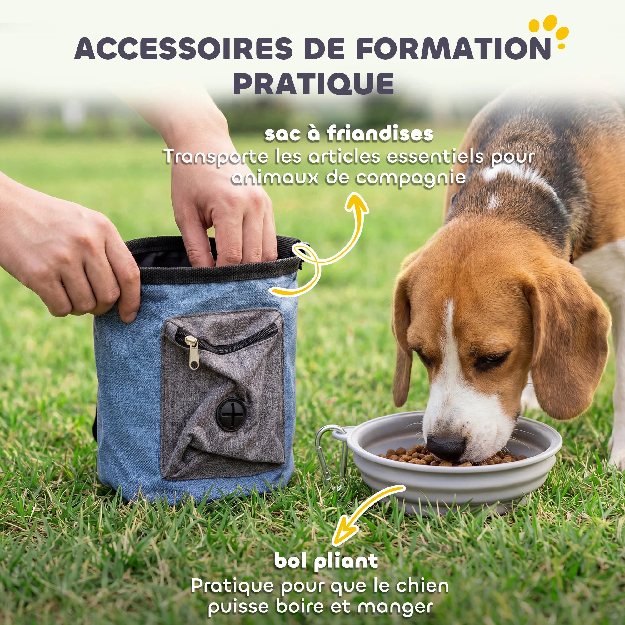 KIT PARCOURS AGILITÉ CHIEN 11 PIÈCES – JEU, ÉDUCATION & DÉPENSE ÉNERGÉTIQUE