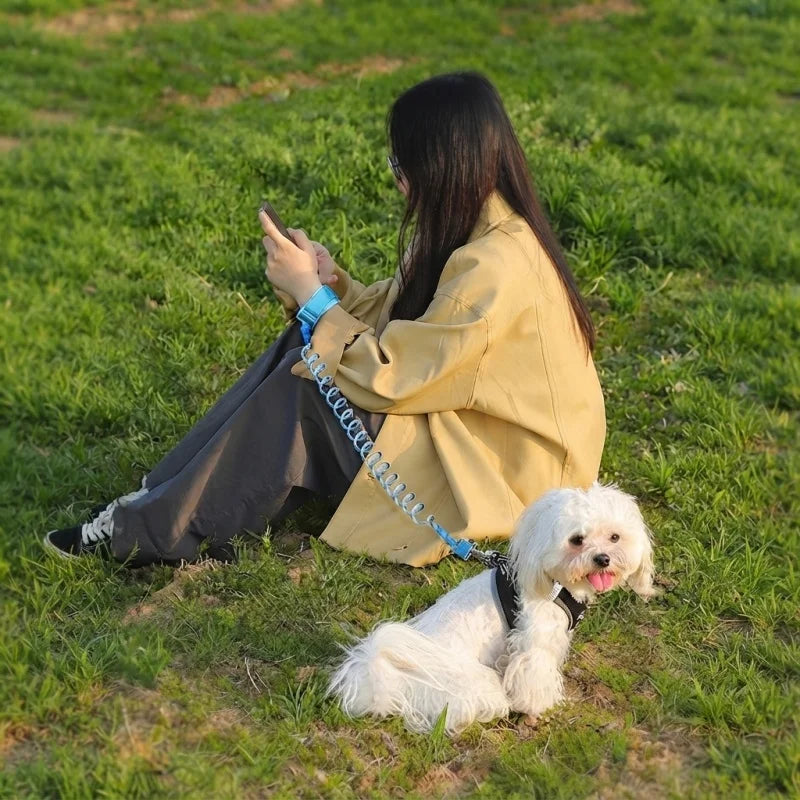 FINI LES LAISSES QUI ENCOMBRENT VOS MAINS – LAISSE RÉTRACTABLE MAINS LIBRES POUR CHIEN