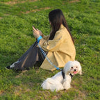 FINI LES LAISSES QUI ENCOMBRENT VOS MAINS – LAISSE RÉTRACTABLE MAINS LIBRES POUR CHIEN