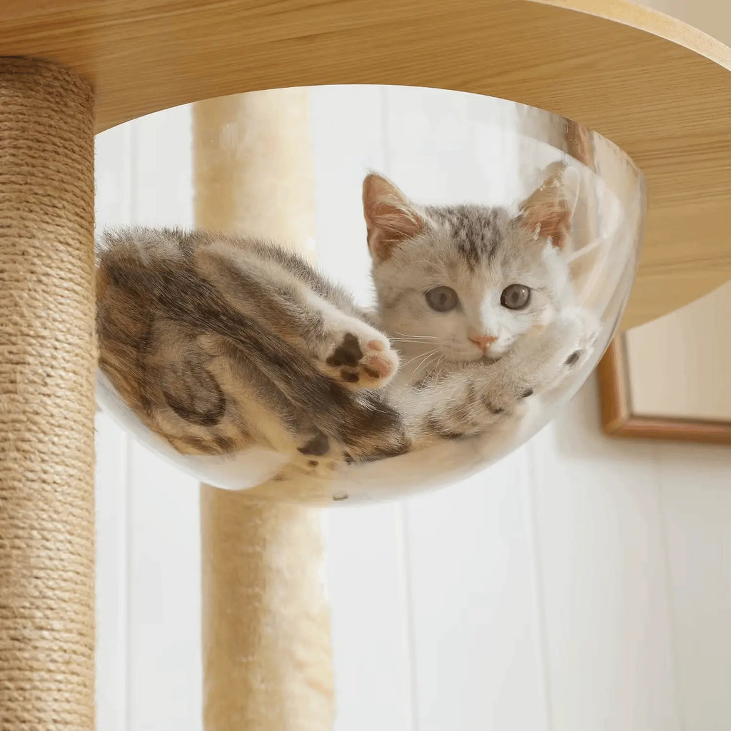 Arbre à chat en bois PrimeFeline 180 cm –  La tour féline haut de gamme pour chats d’intérieur
