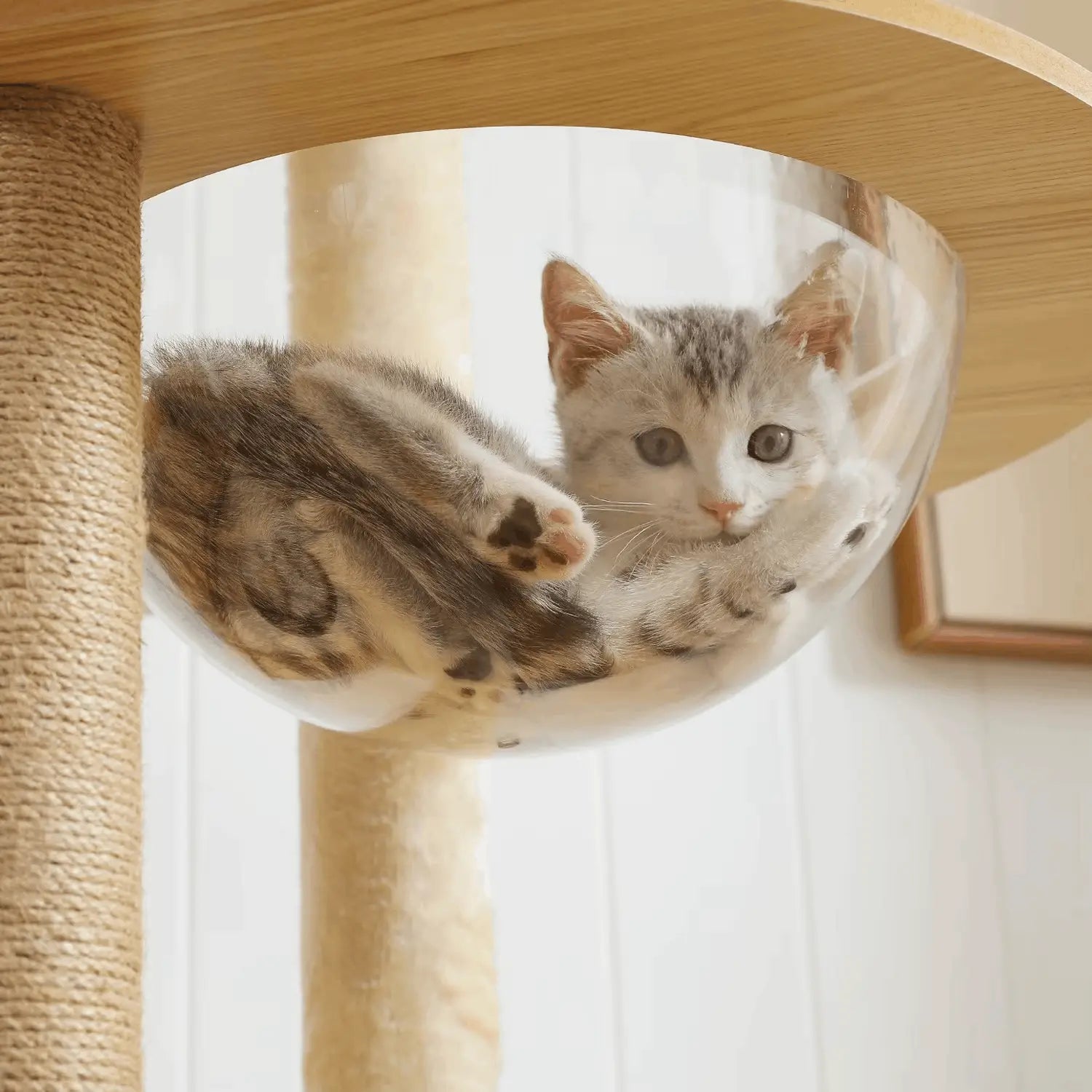 Arbre à chat en bois PrimeFeline 180 cm –  La tour féline haut de gamme pour chats d’intérieur