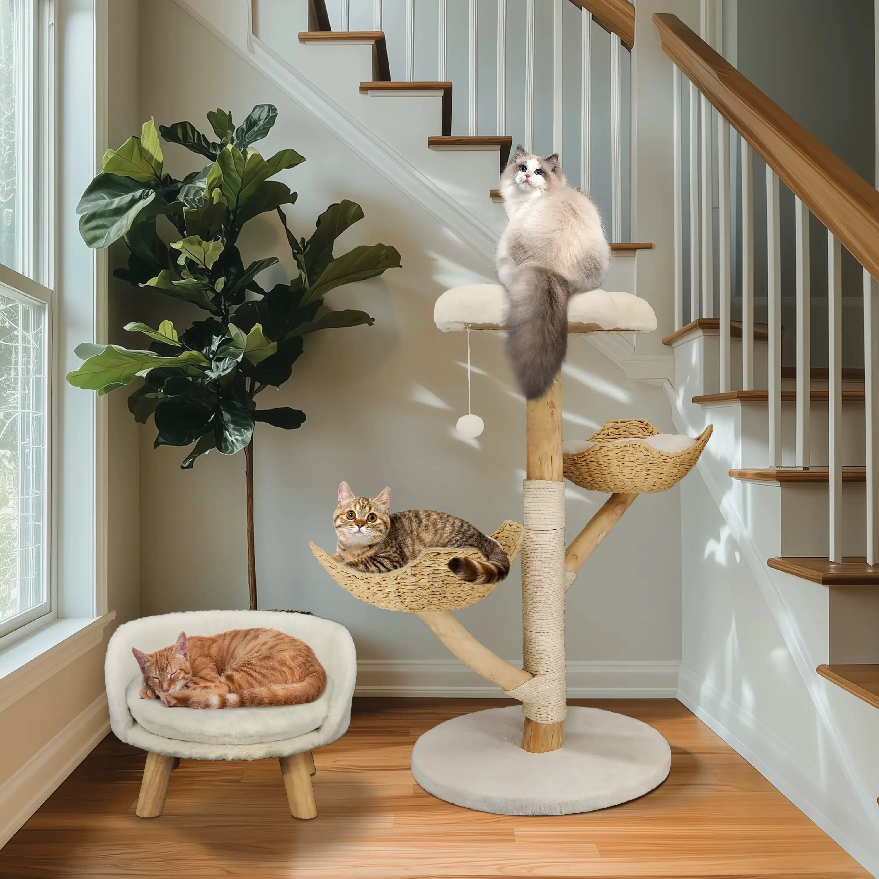 Arbre à Chat en bois Lotus Royale – L’élégance naturelle pour votre félin