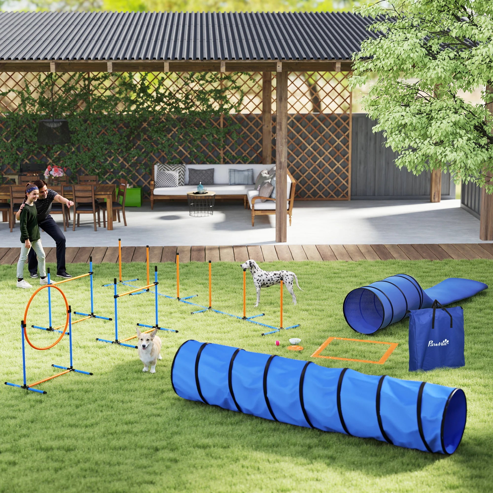 KIT PARCOURS AGILITÉ CHIEN 11 PIÈCES – JEU, ÉDUCATION & DÉPENSE ÉNERGÉTIQUE