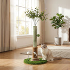 ARBRE À CHAT POUR GRIMPER ET DORMIR – GRIFFOIR DURABLE POUR CHAT D'INTÉRIEUR