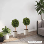 CYPRÈS ARTIFICIELS 2 PCS – DÉCORATION ÉLÉGANTE & SANS ENTRETIEN
