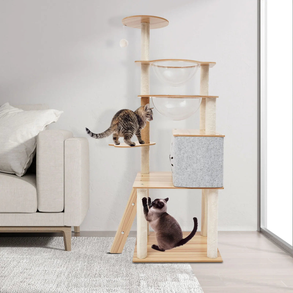 Arbre à chat 3 niveaux pour petits chats avec espace repos et griffoir