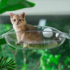 FINI LES REBORDS DE FENÊTRE TROP ÉTROITS – HAMAC PANORAMIQUE SUSPENDU POUR CHAT