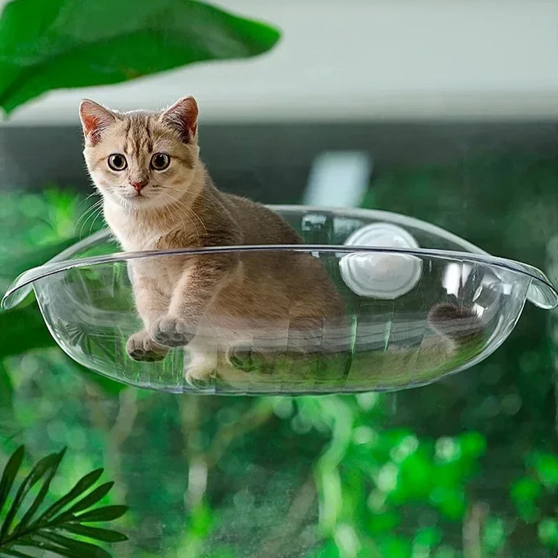 FINI LES REBORDS DE FENÊTRE TROP ÉTROITS – HAMAC PANORAMIQUE SUSPENDU POUR CHAT
