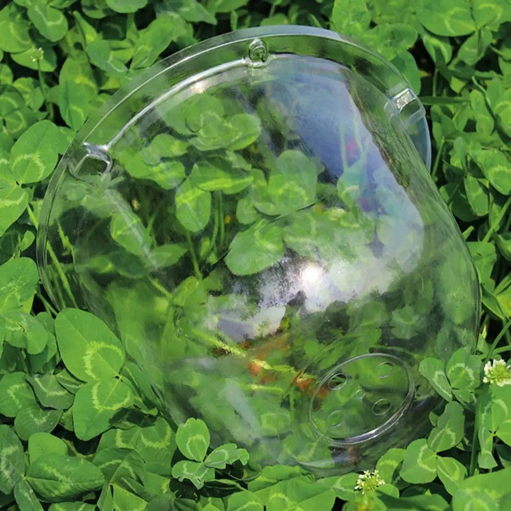 LOT DE 10 CLOCHES DE PROTECTION POUR PLANTES – CROISSANCE ACCÉLÉRÉE & PROTECTION MAXIMALE