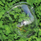 LOT DE 10 CLOCHES DE PROTECTION POUR PLANTES – CROISSANCE ACCÉLÉRÉE & PROTECTION MAXIMALE