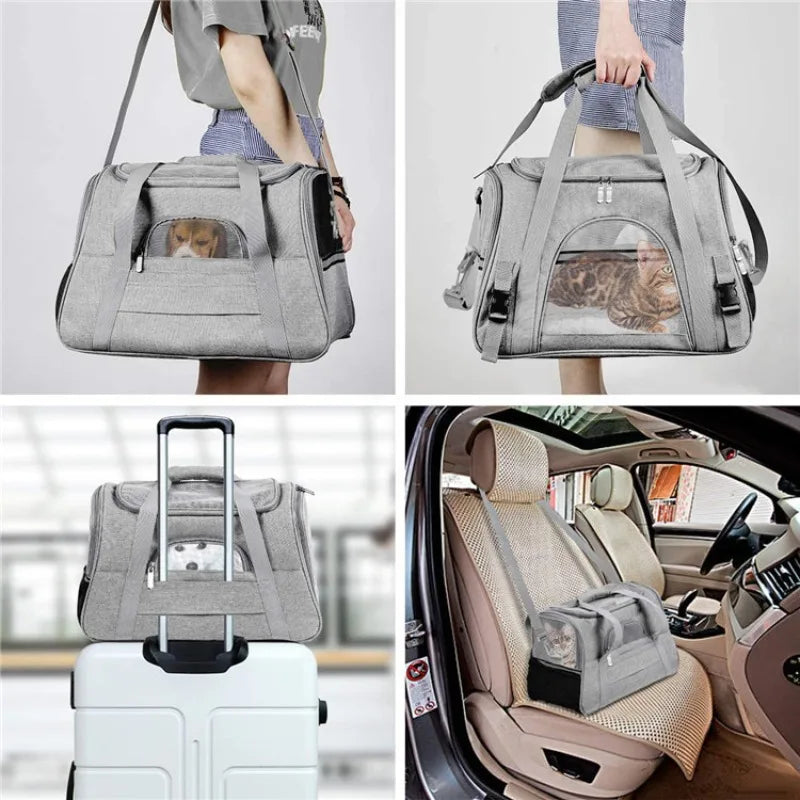 SAC DE TRANSPORT PLIABLE POUR ANIMAUX – CONFORT & MOBILITÉ PARTOUT