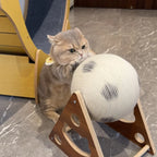 GRIFFOIR BALLON DE FOOT INTERACTIF POUR CHAT