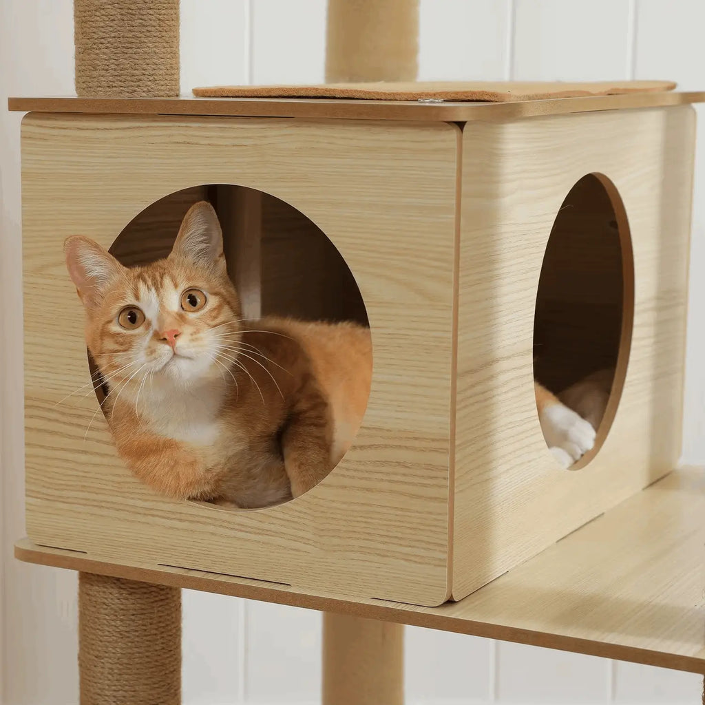 Arbre à chat en bois PrimeFeline 180 cm –  La tour féline haut de gamme pour chats d’intérieur