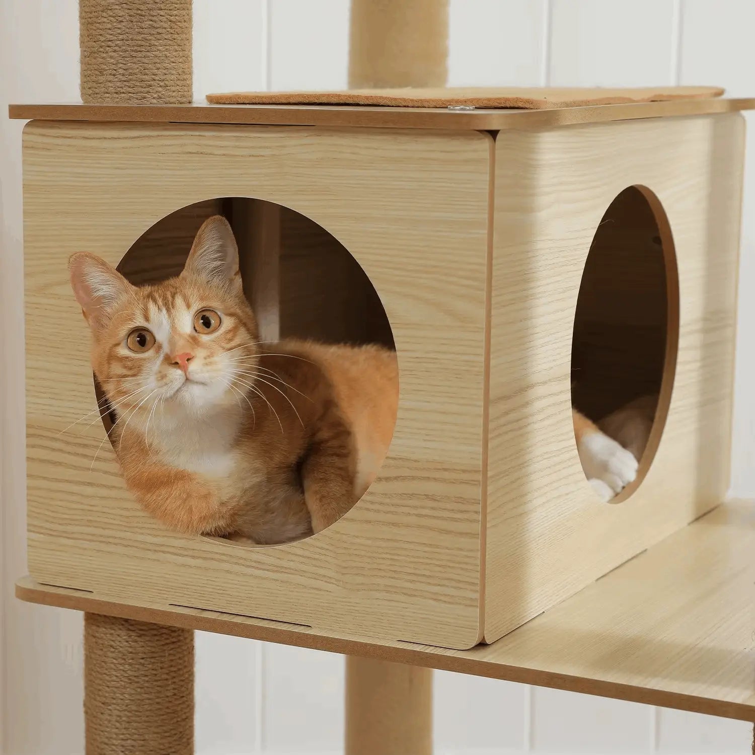 Arbre à chat en bois PrimeFeline 180 cm –  La tour féline haut de gamme pour chats d’intérieur