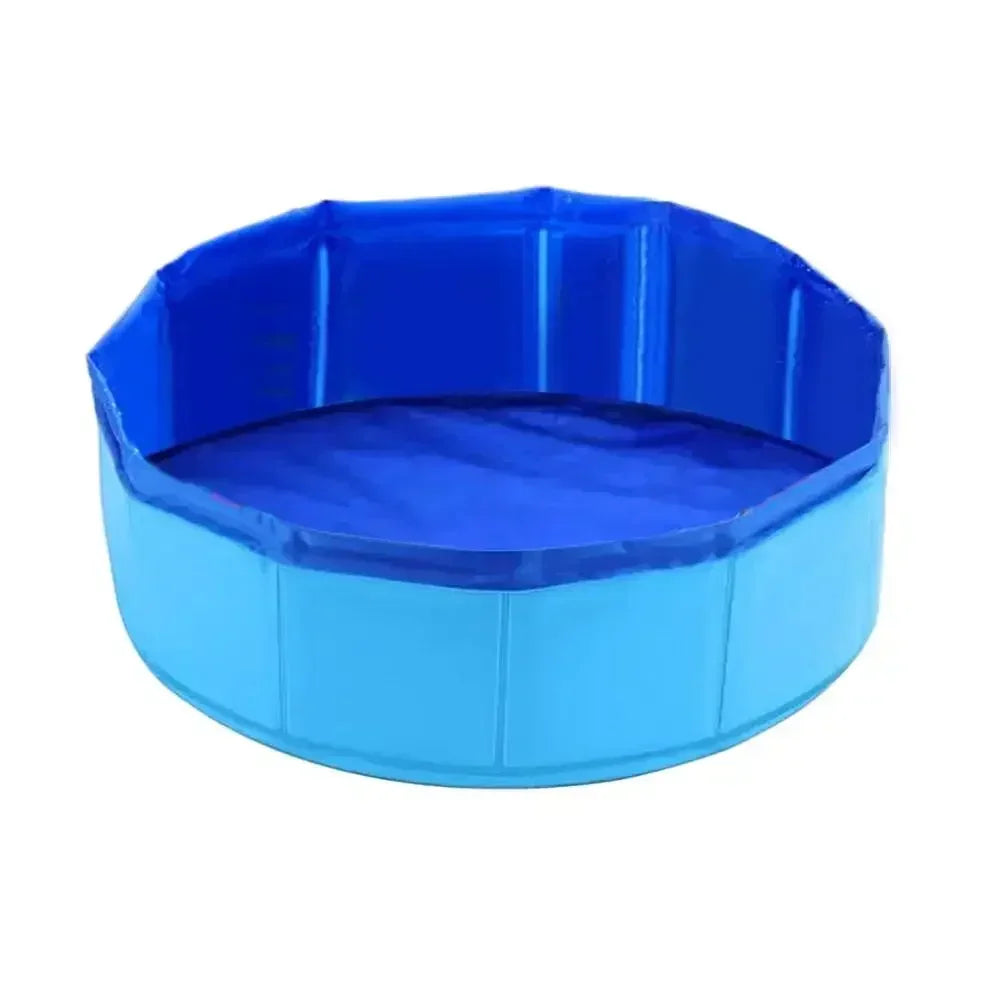 PISCINE DE PÊCHE INTERACTIVE POUR CHAT – STIMULATION, JEU & ANTI-ENNUI