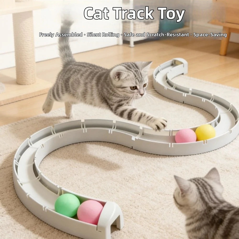 CIRCUIT INTERACTIF À BALLES POUR CHAT