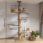 TITANWOOD XXL – ARBRE À CHAT DU SOL AU PLAFOND SPÉCIAL MAINE COON