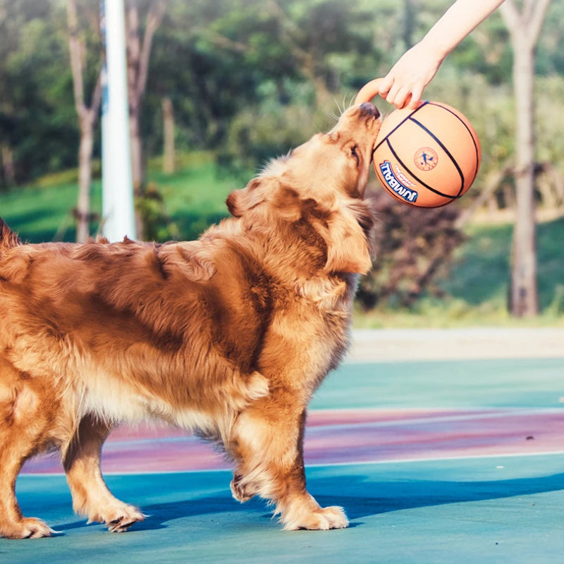 TERMINÉ LES JOUETS DÉTRUITS EN QUELQUES MINUTES – BALLE RÉSISTANTE AUX MORSURES POUR CHIEN