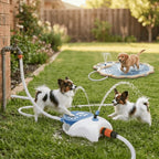 FONTAINE À EAU À PÉDALE POUR CHIEN – EAU FRAÎCHE, AUTONOMIE & HYDRATATION