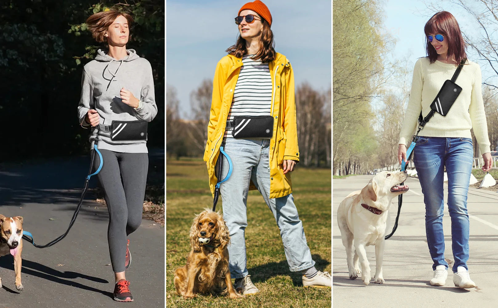 LAISSE CHIEN MAINS LIBRES – CONFORT, CONTRÔLE & LIBERTÉ