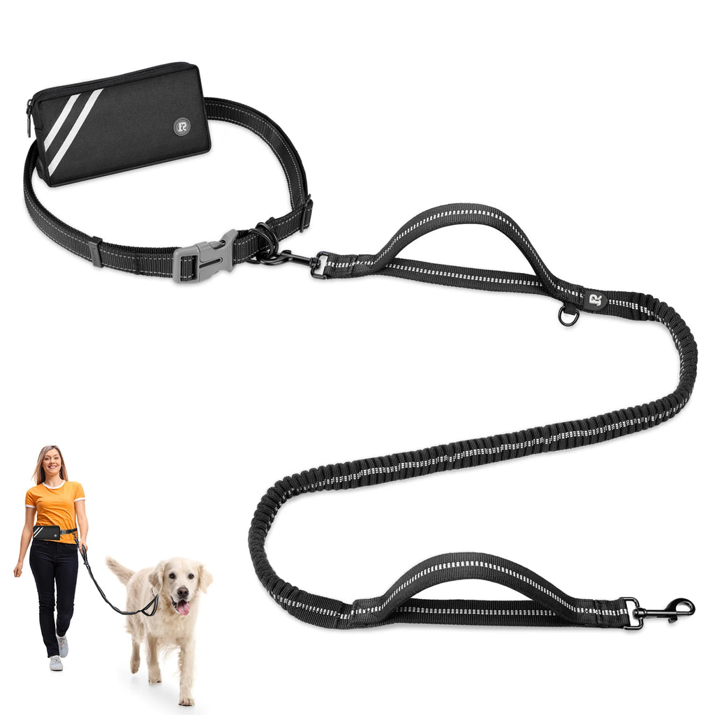 LAISSE CHIEN MAINS LIBRES – CONFORT, CONTRÔLE & LIBERTÉ