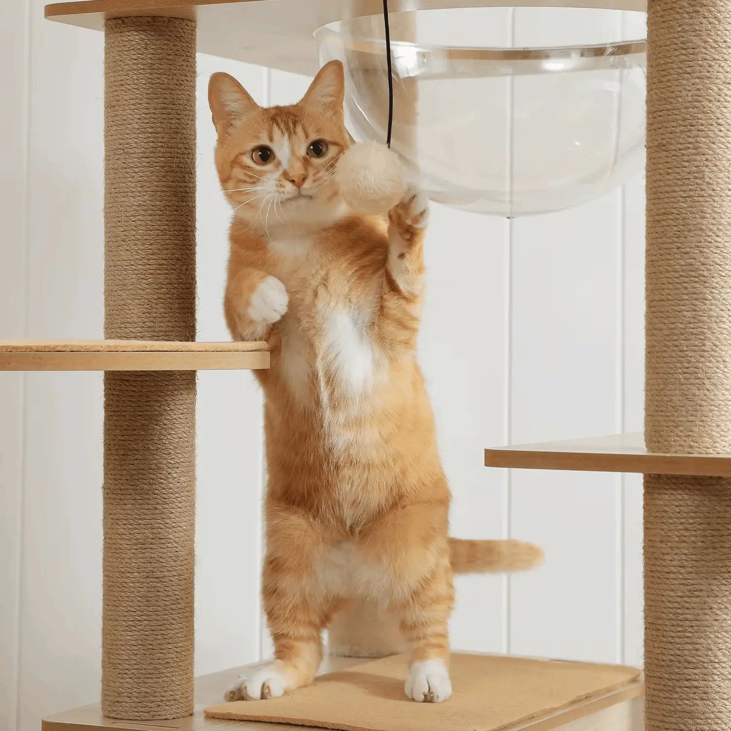 Arbre à chat en bois PrimeFeline 180 cm –  La tour féline haut de gamme pour chats d’intérieur