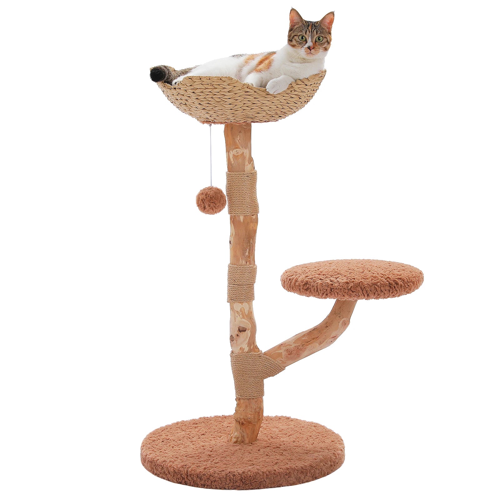 FINI LES ARBRES À CHAT SANS STYLE – ARBRE À CHAT EN BOIS AVEC PANIER EN OSIER ET BRANCHES NATURELLES