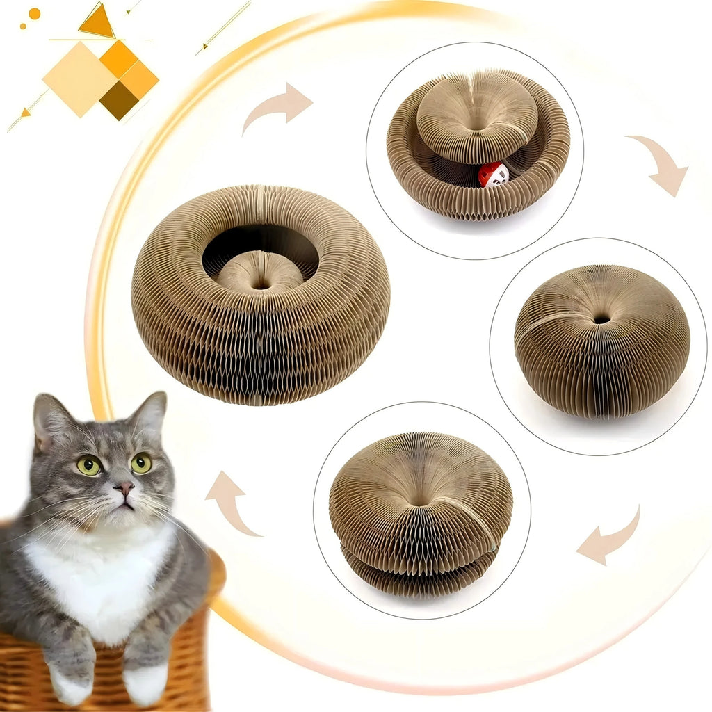 JEU ET GRIFFOIR INTERACTIF AVEC BALLE INTÉGRÉE –  FINI LES GRIFFADES SUR VOTRE CANAPÉ
