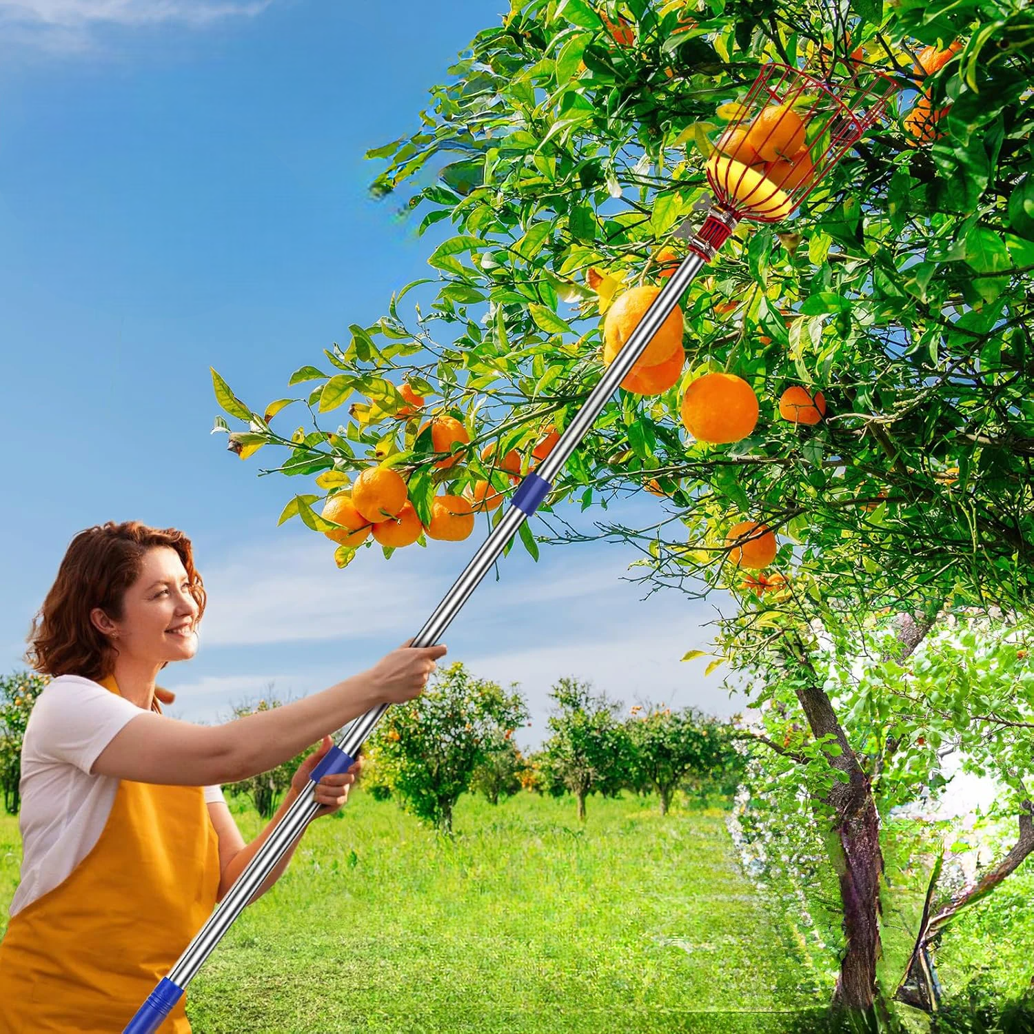 CUEILLEUR DE FRUITS TÉLESCOPIQUE – RÉCOLTE FACILE, RAPIDE & SANS ÉCHELLE