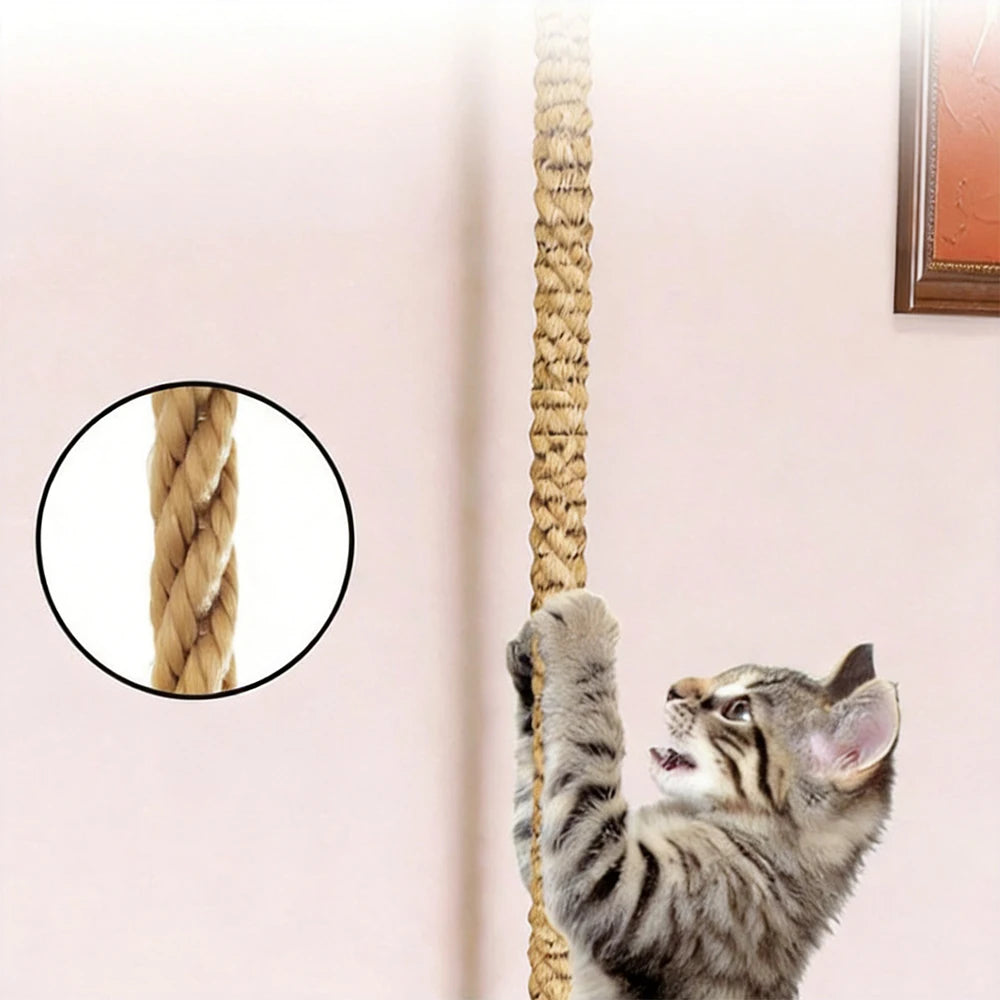 CORDE D'ESCALADE MURALE  POUR CHAT