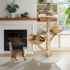 Arbre à Chat en bois Lotus Royale – L’élégance naturelle pour votre félin