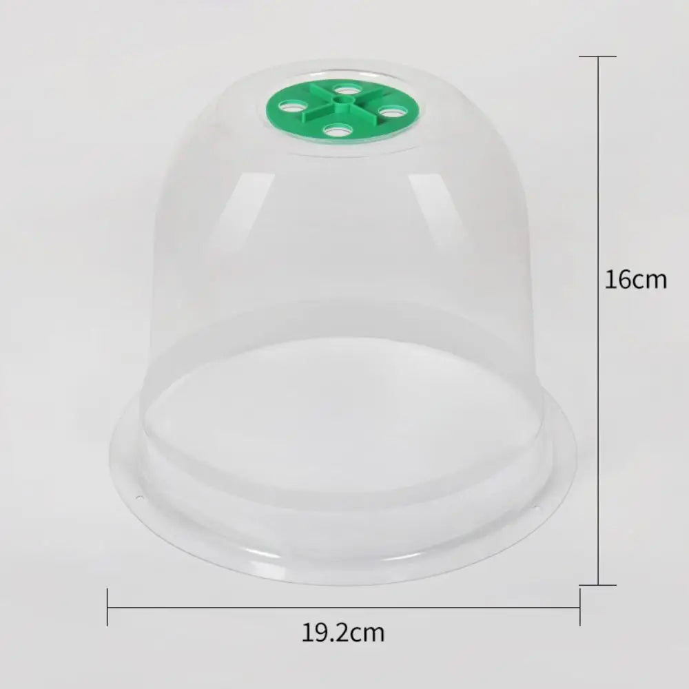 LOT DE 10 CLOCHES DE PROTECTION POUR PLANTES – CROISSANCE ACCÉLÉRÉE & PROTECTION MAXIMALE