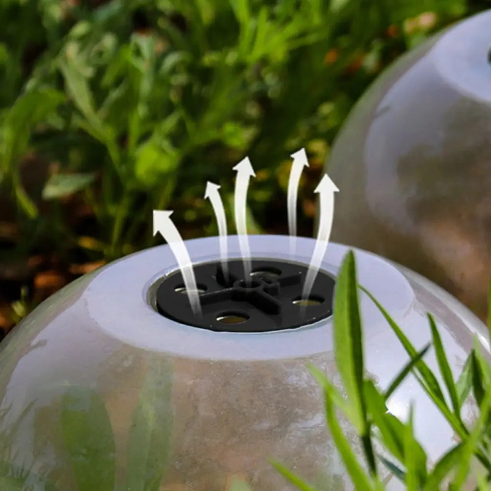 LOT DE 10 CLOCHES DE PROTECTION POUR PLANTES – CROISSANCE ACCÉLÉRÉE & PROTECTION MAXIMALE