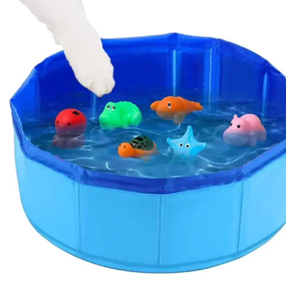 PISCINE DE PÊCHE INTERACTIVE POUR CHAT – STIMULATION, JEU & ANTI-ENNUI