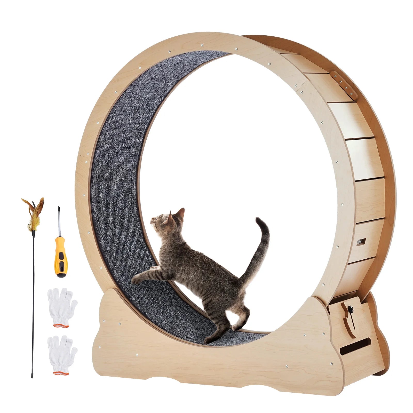 ROUE D’EXERCICE POUR CHAT – ACTIVITÉ, BIEN-ÊTRE & DIVERTISSEMENT