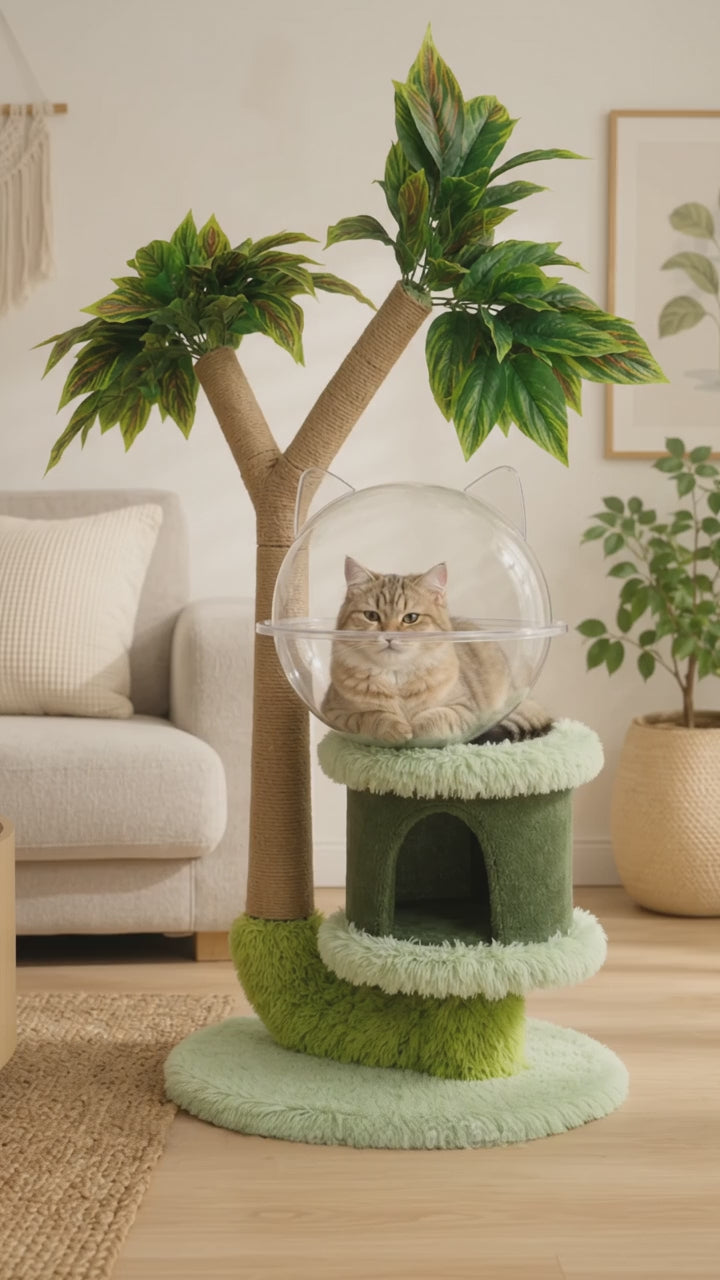 Arbre à chat manguier avec perche et griffoir
