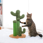 Arbre à chat cactus