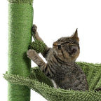 Arbre à chat cactus