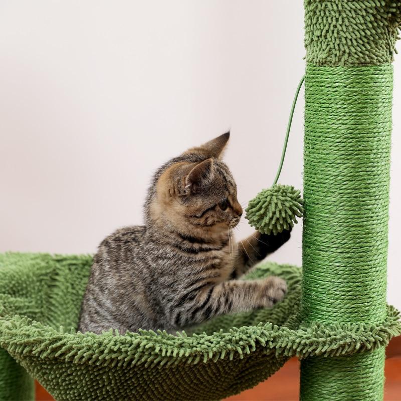 Arbre à chat cactus