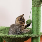 Arbre à chat cactus
