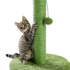 Arbre à chat cactus