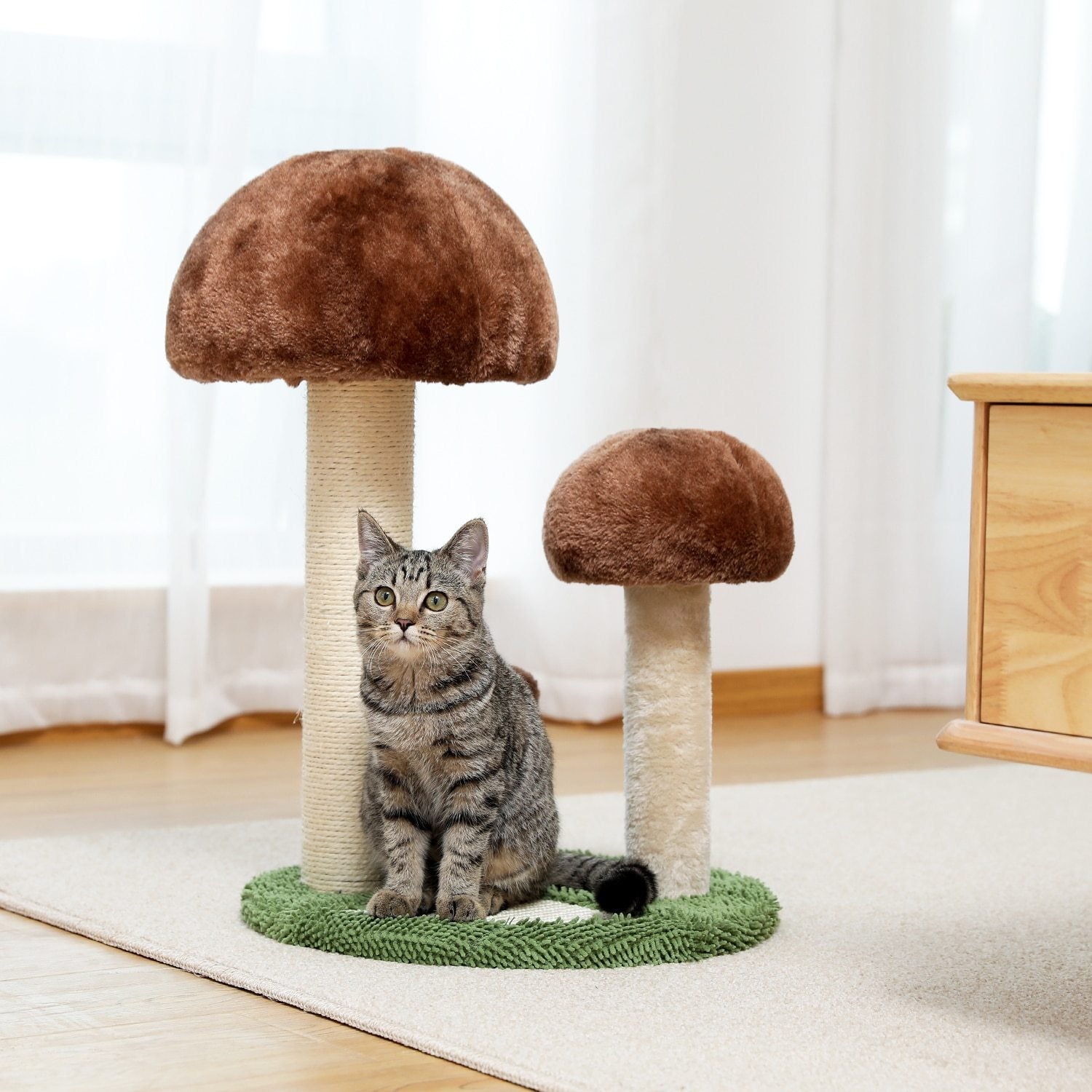 ARBRE À CHAT CHAMPIGNON – DESIGN ORIGINAL
