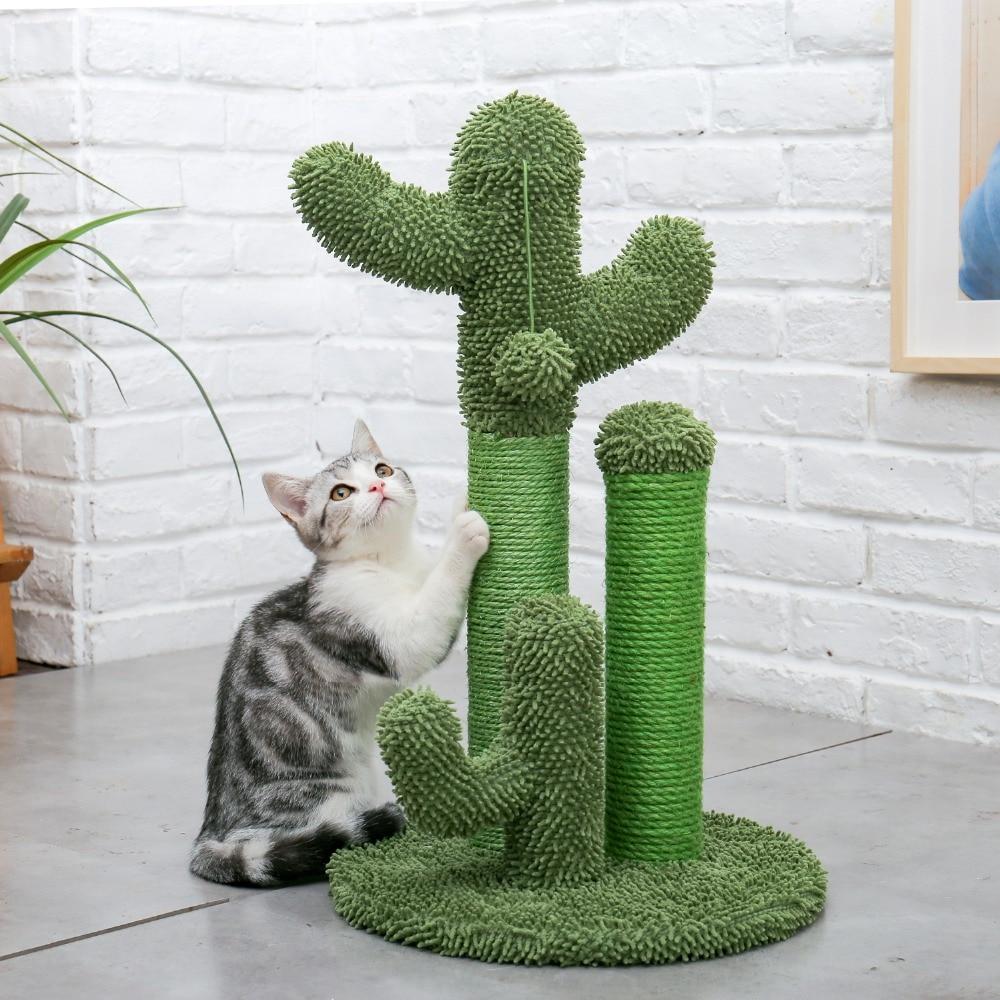 Arbre à chat cactus