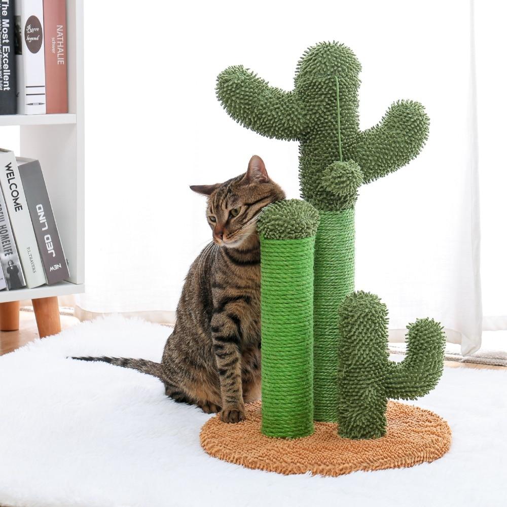 Arbre à chat cactus