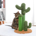 Arbre à chat cactus