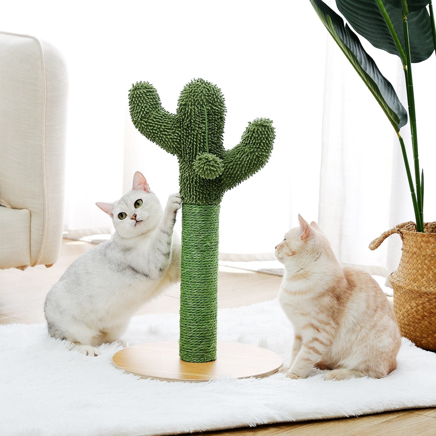 Arbre à chat cactus