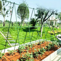 GRILLE GUIDAGE PLANTES CLIMB GRID  – CROISSANCE STRUCTURÉE
